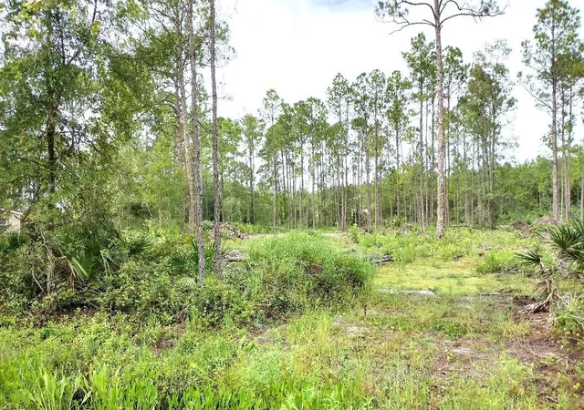 Homes for sale in Bunnell, FL | 5814 Mahogany Blvd, Bunnell, FL 32110 | MLS# FC303710