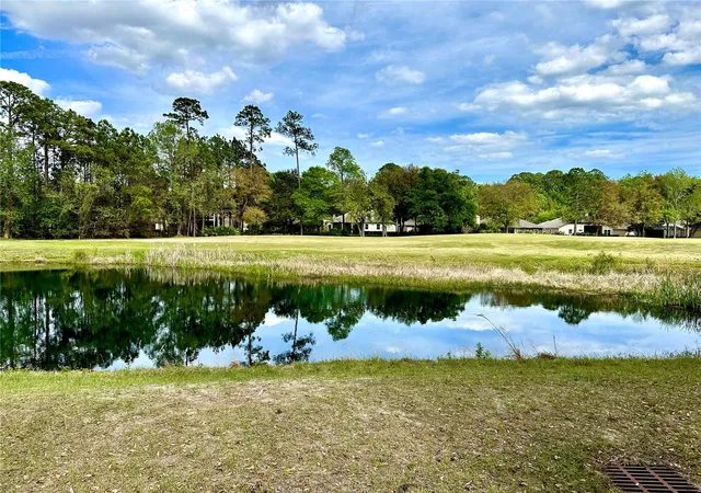 Homes for sale in Fernandina Beach, FL | 85144 Napeague Dr, Fernandina Beach, FL 32034 | MLS# D6138058