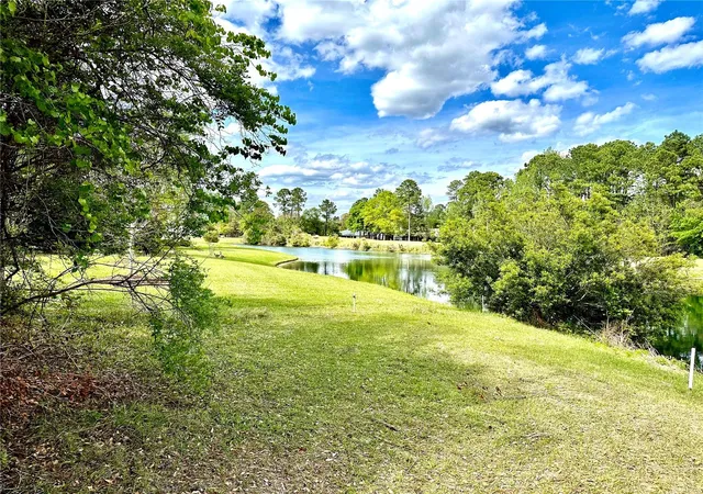 Homes for sale in Fernandina Beach, FL | 85144 Napeague Dr, Fernandina Beach, FL 32034 | MLS# D6138058