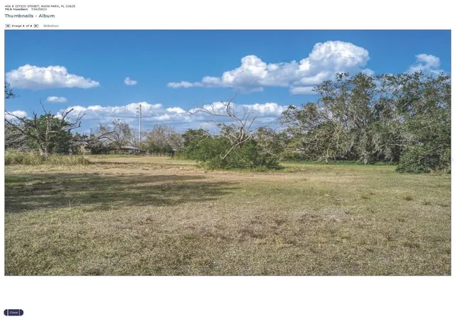 1st image of 406 E Citico St, Avon Park, FL 33825 | MLS# TB8301595