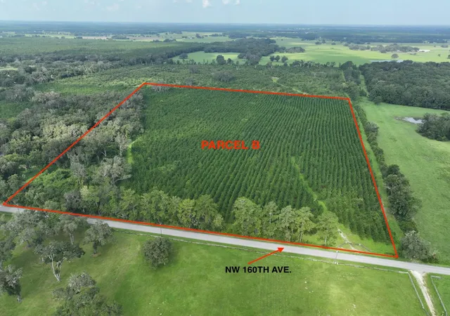 Land for sale at Parcel NW B 160th Ave, MORRISTON, FL 32668 | MLS# OM685975