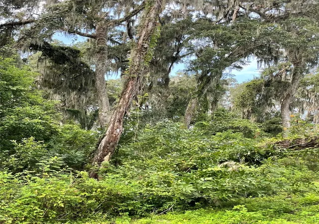 Photo 3 of Land for sale at Parcel NW B 160th Ave, Morriston, FL 32668 | MLS# OM685975 | Listing updated on 2026-09-18