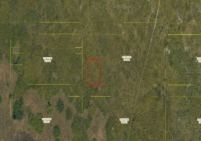 Homes for sale in Kenansville, FL | Palmetto Ave, Kenansville, FL 34739 | MLS# O6241766