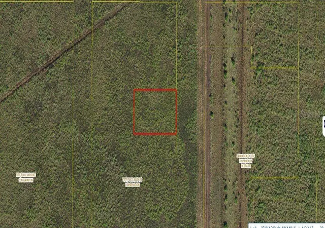 Homes for sale in Kenansville, FL | N/a, Kenansville, FL 34739 | MLS# O6241767