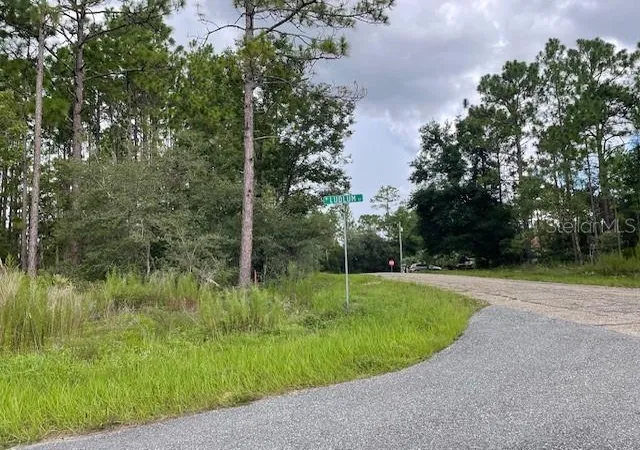 Photo 2 of Land for sale at 932 W Ludlum St, Dunnellon, FL 34434 | MLS# TB8303933 | Listing updated on 2026-05-15