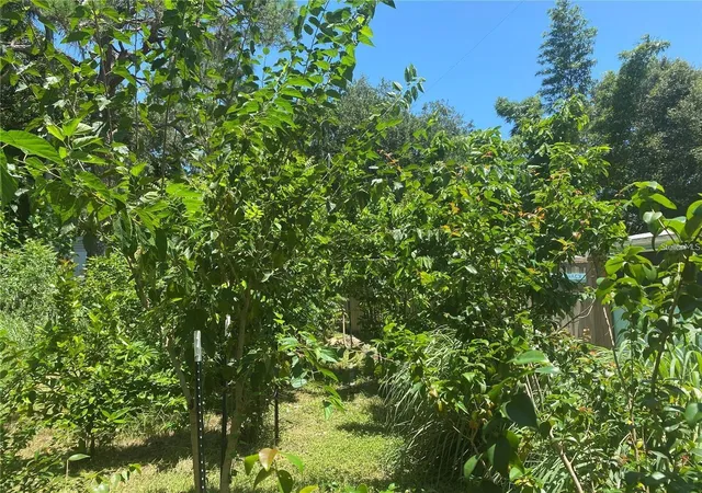 Homes for sale in Osprey, FL | 456 Washington Ave, Osprey, FL 34229 | MLS# A4623594
