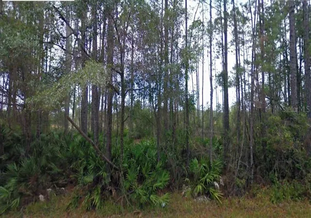 Photo 1 of Land for sale at Ne 65th Avenue, Citra, FL 32113 | MLS# O6242141 | Listing updated on 2026-03-30