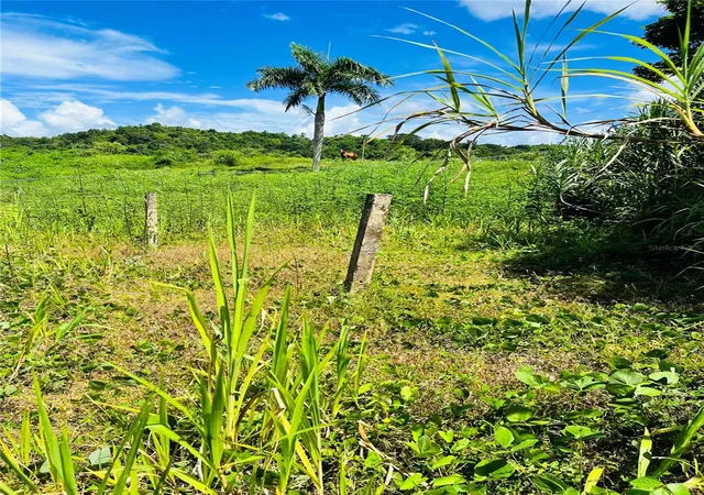 Homes for sale in Carolina, PR | 857 Carretera, Carolina, PR 00987 | MLS# PR9108898