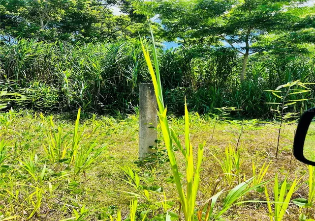 Homes for sale in Carolina, PR | 857 Carretera, Carolina, PR 00987 | MLS# PR9108898
