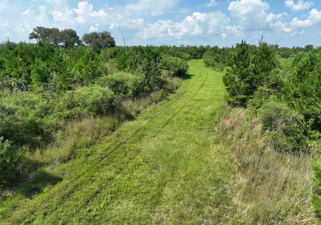 12th image of Parcel C Nw 160th Ave, Morriston, FL 32668 | MLS# OM686161