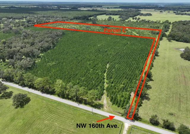 1st image of Parcel C Nw 160th Ave, Morriston, FL 32668 | MLS# OM686161