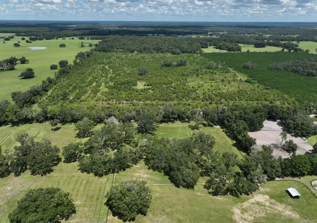 15th image of Parcel D Nw 160th Ave, Morriston, FL 32668 | MLS# OM686172