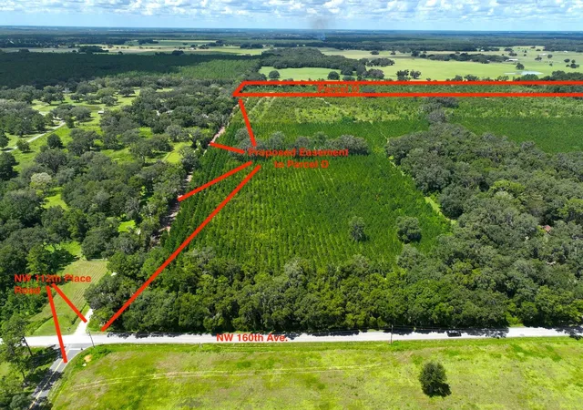 1st image of Parcel D Nw 160th Ave, Morriston, FL 32668 | MLS# OM686172