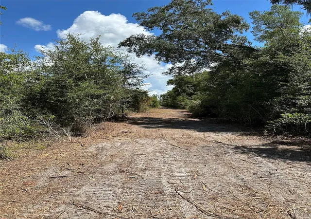 2nd image of Parcel D Nw 160th Ave, Morriston, FL 32668 | MLS# OM686172