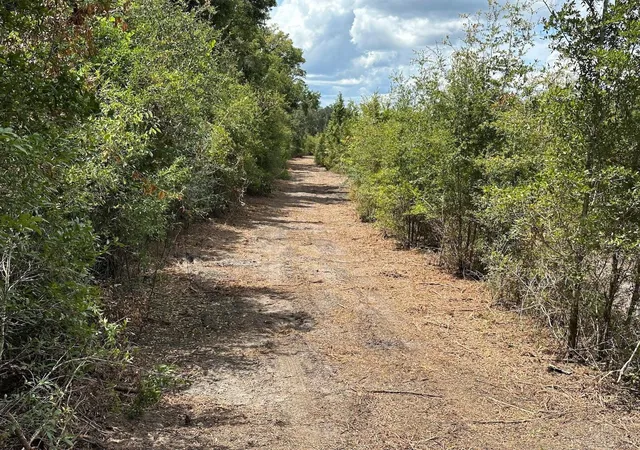 4th image of Parcel D Nw 160Th Ave, Morriston, FL 32668 | MLS# OM686172