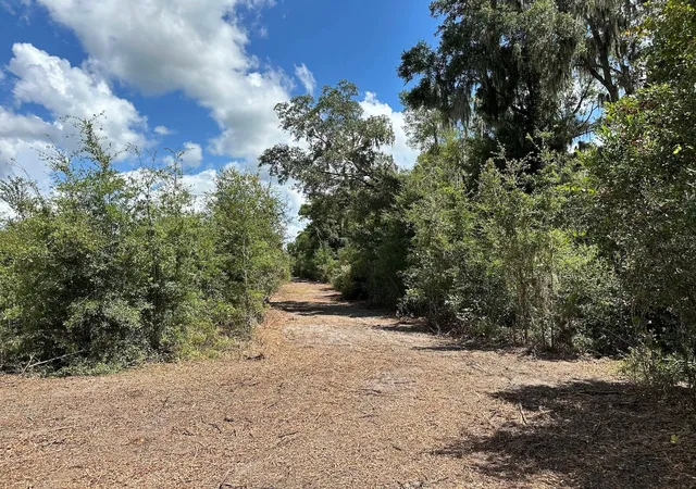 5th image of Parcel D Nw 160Th Ave, Morriston, FL 32668 | MLS# OM686172