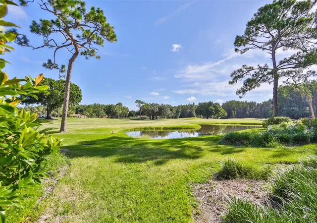 2nd image of 29129 S Bay Holw Dr S, WESLEY CHAPEL, FL 33543
