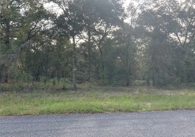 1st image of 00 Se 139th Terr Lot 11, Morriston, FL 32668 | MLS# OM686428