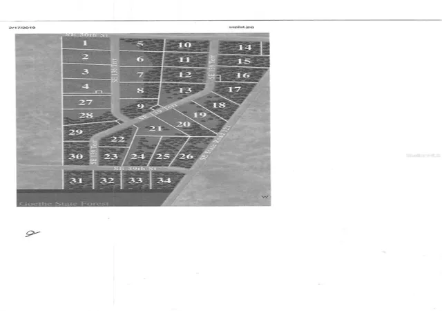 4th image of Se 139th Ter Lot 19, Morriston, FL 32668 | MLS# OM686451