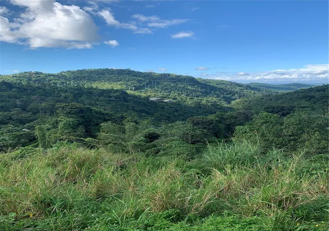 Photo 1 of Land for sale at 907 Carretera #KM 2.2, Canovanas, PR 00729 | MLS# PR9109020 | Listing updated on 2026-09-21