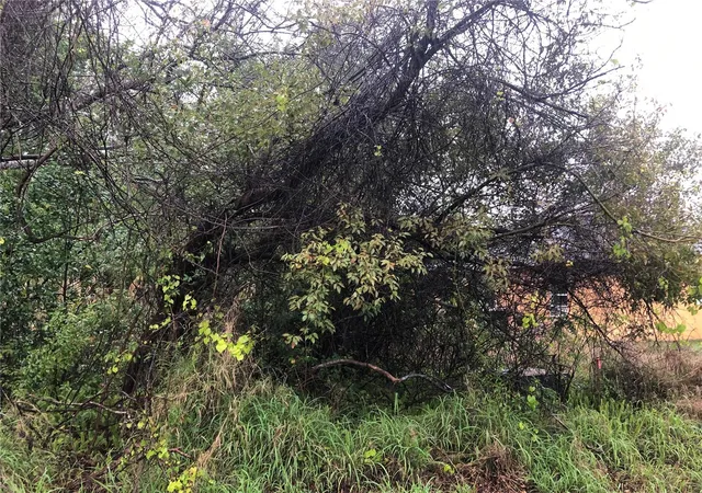 Photo 1 of Land for sale at 2563 Captain Dr, Deltona, FL 32738 | MLS# V4938658 | Listing updated on 2026-02-06