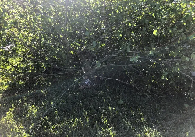 Photo 2 of Land for sale at 2563 Captain Dr, Deltona, FL 32738 | MLS# V4938658 | Listing updated on 2026-02-06