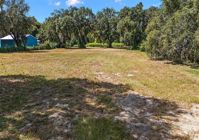 Homes for sale in Fruitland Park, FL | Lake Unity Rd, Fruitland Park, FL 34731 | MLS# G5087552