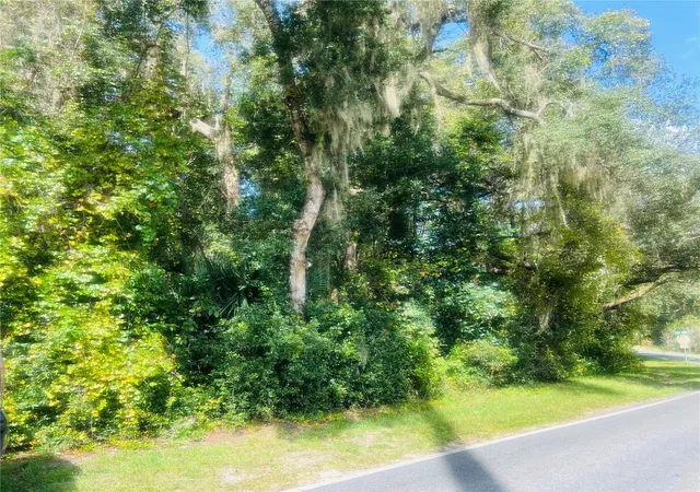 Homes for sale in De Leon Springs, FL | 1215 Arredondo Grant Rd, De Leon Springs, FL 32130 | MLS# V4938730