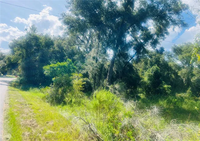 Homes for sale in De Leon Springs, FL | 1215 Arredondo Grant Rd, De Leon Springs, FL 32130 | MLS# V4938730
