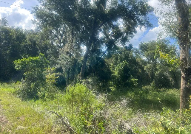 Homes for sale in De Leon Springs, FL | 1215 Arredondo Grant Rd, De Leon Springs, FL 32130 | MLS# V4938730
