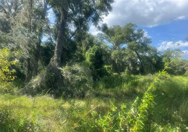 Homes for sale in De Leon Springs, FL | 1215 Arredondo Grant Rd, De Leon Springs, FL 32130 | MLS# V4938730