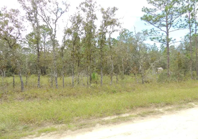Photo 1 of Land for sale at 690 Ne 135th Court, Williston, FL 32696 | MLS# OM686851 | Listing updated on 2026-09-09
