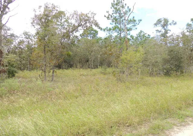 Photo 3 of Land for sale at 690 Ne 135th Court, Williston, FL 32696 | MLS# OM686851 | Listing updated on 2026-09-09