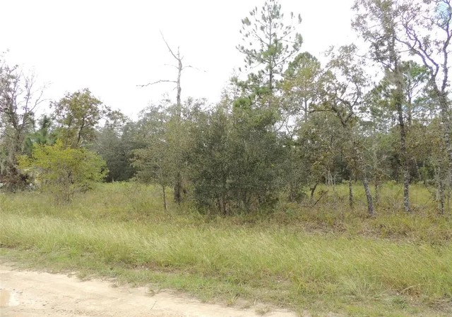 Photo 3 of Land for sale at 690 NE 135th Court, Williston, FL 32696 | MLS# OM686851 | Listing updated on 2026-09-09
