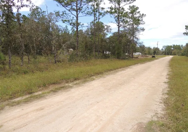 Photo 4 of Land for sale at 690 NE 135th Court, Williston, FL 32696 | MLS# OM686851 | Listing updated on 2026-09-09