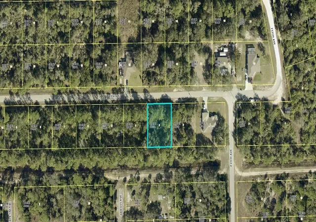 Photo 2 of Land for sale at 4240 E 24th Street, Alva, FL 33920 | MLS# C7498950 | Listing updated on 2026-03-30
