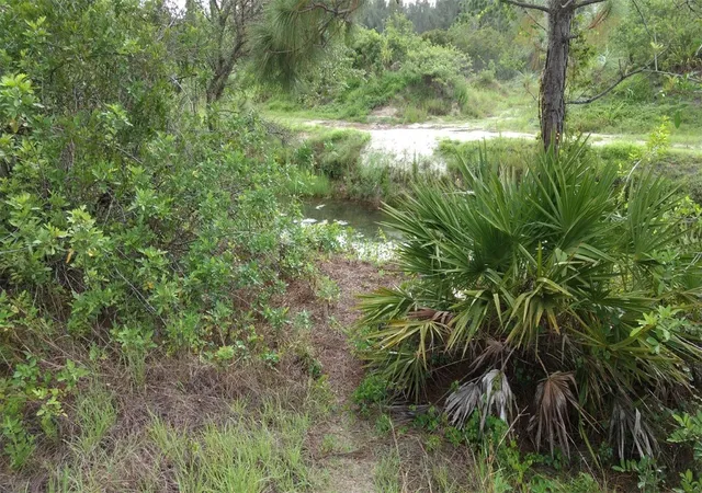 Photo 1 of Land for sale at 1508 Washington Ave, Lehigh Acres, FL 33972 | MLS# O6249167 | Listing updated on 2024-10-15