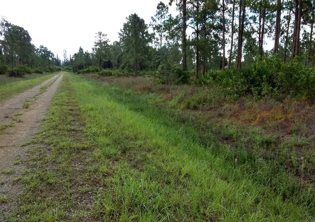 Photo 3 of Land for sale at 1508 Washington Ave, Lehigh Acres, FL 33972 | MLS# O6249167 | Listing updated on 2024-10-15