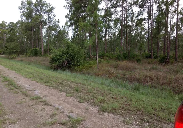 Photo 4 of Land for sale at 1508 Washington Ave, Lehigh Acres, FL 33972 | MLS# O6249167 | Listing updated on 2024-10-15