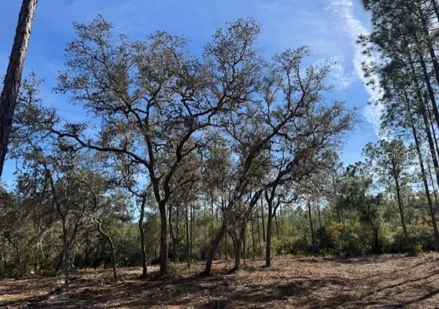 Photo 2 of Sale Pending at 11901 Northeast 150th Ave Rd, Fort Mc Coy, FL 32134 | MLS# OM687596 | Listing updated on 2026-08-31
