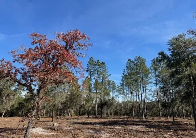 Photo 3 of Sale Pending at 11901 Northeast 150th Ave Rd, Fort Mc Coy, FL 32134 | MLS# OM687596 | Listing updated on 2026-08-31