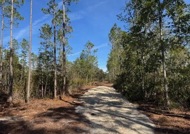 Photo 3 of Sale Pending at 11901 Northeast 150th Ave Rd, Fort Mc Coy, FL 32134 | MLS# OM687596 | Listing updated on 2026-08-31