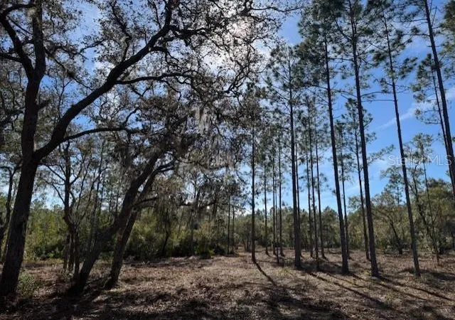 Photo 4 of Sale Pending at 11901 Northeast 150th Ave Rd, Fort Mc Coy, FL 32134 | MLS# OM687596 | Listing updated on 2026-08-31