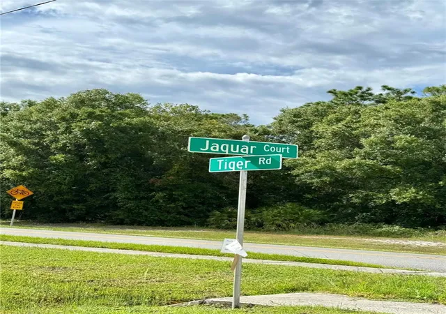 Photo 3 of Land for sale at 638 Jaguar Ct, Kissimmee, FL 34759 | MLS# G5088156 | Listing updated on 2026-10-15