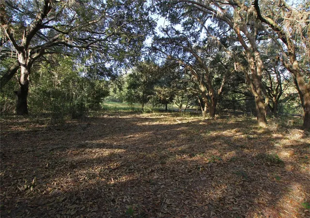 Photo 2 of Land for sale at 0 Patricia Dr, Bartow, FL 33830 | MLS# L4948414 | Listing updated on 2026-08-18