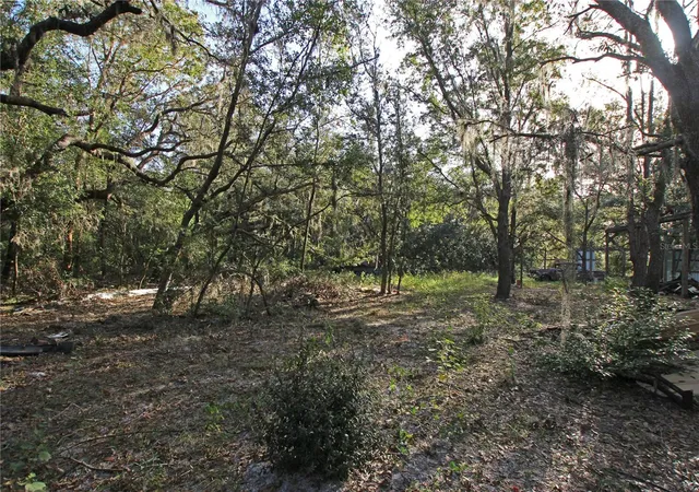 Photo 3 of Land for sale at 0 Patricia Dr, Bartow, FL 33830 | MLS# L4948414 | Listing updated on 2026-08-18