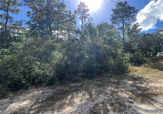 Photo 3 of Land for sale at 5650 W Kettle Ln, Crystal River, FL 34429 | MLS# A4627147 | Listing updated on 2026-04-27