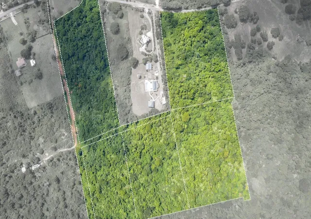 Photo 2 of Land for sale at Lot 5 Carr 201 KmHm 58, Vieques, PR 00765 | MLS# PR9109771 | Listing updated on 2025-10-22