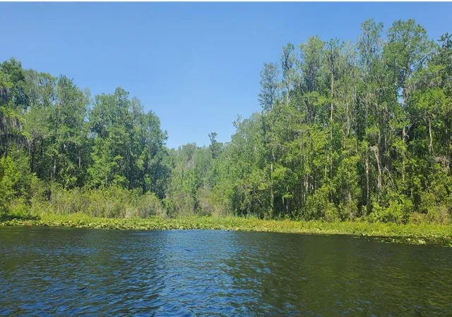 1st image of 00 W Hwy 40, Dunnellon, FL 34431 | MLS# TB8315658