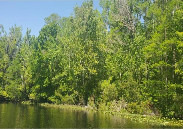 Photo 3 of Land for sale at 00 West Hwy 40, Dunnellon, FL 34431 | MLS# TB8315658 | Listing updated on 2026-04-20